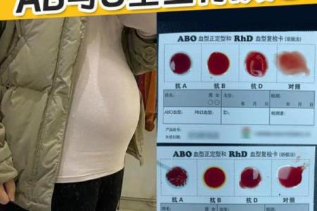 血型会影响怀孕吗- O型血的女性不易受孕