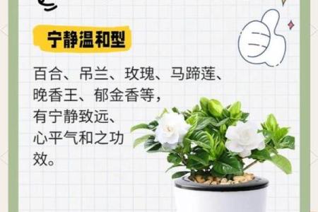 家庭办公风水同样重要 几个小妙招让你效率倍增 赶紧试试