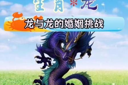 属龙的女人和什么属相最配对 属龙的女人和什么属相最配婚姻