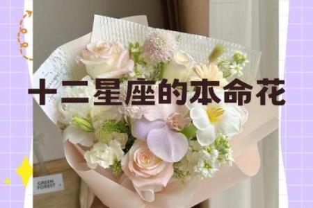 十二星座运势之花