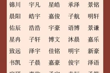 属蛇寅时出生的男孩取什么名字，应该用什么字姓名