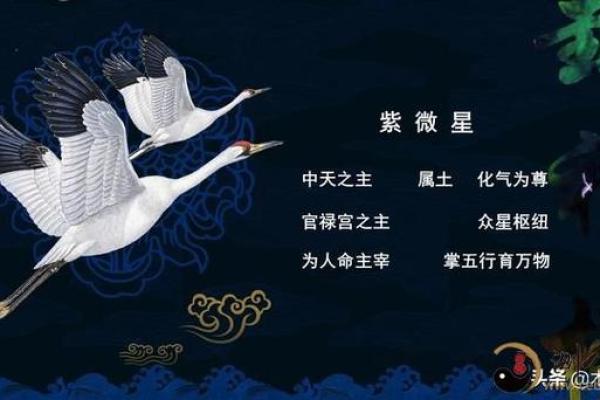紫薇斗数河洛派