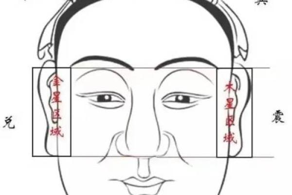 三角眉毛的面相算命图解