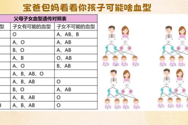 血型组合解读夫妻关系