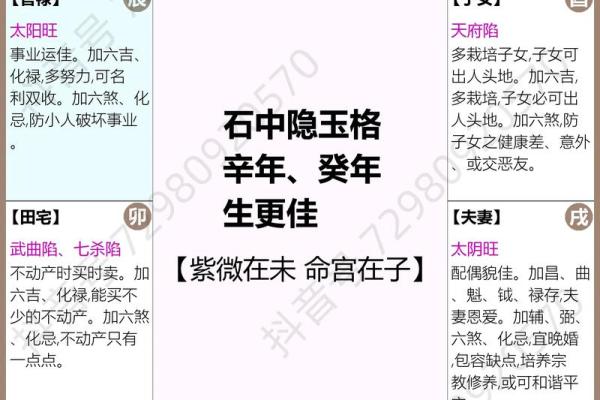 紫薇斗数男命看哪些宫
