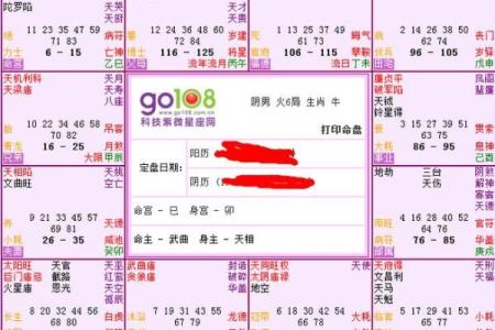 紫薇星盘八字算命