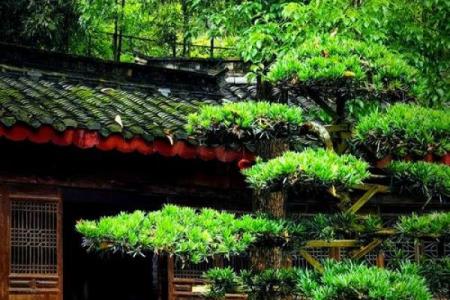 狮子山西来古刹44灵签