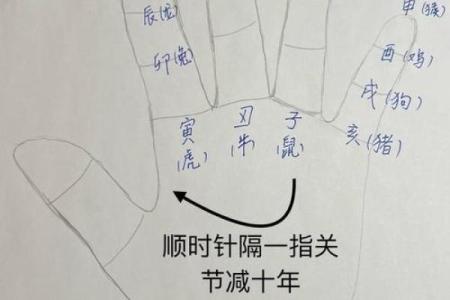 算命的老头看手相吗
