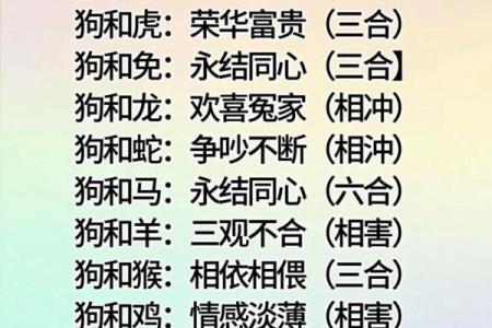 12生肖婚姻最佳配对 12生肖婚姻最佳配对表大全