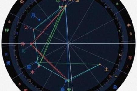 紫微斗数美国神婆在线排盘 星盘美国神婆？