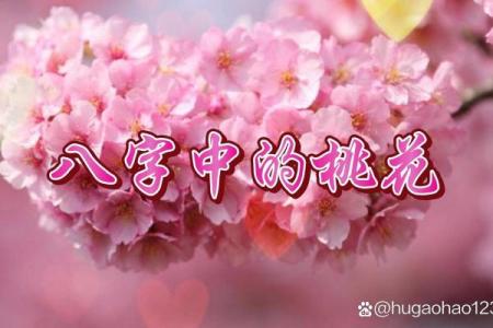 八字正桃花