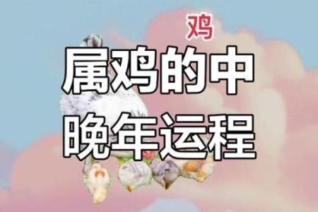 1969年属什么生肖属于什么命 1969年属什么生肖配对最好婚姻