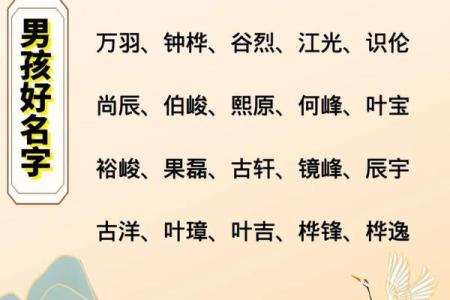 2019年3月18号辛时出生的男孩如何起名姓名