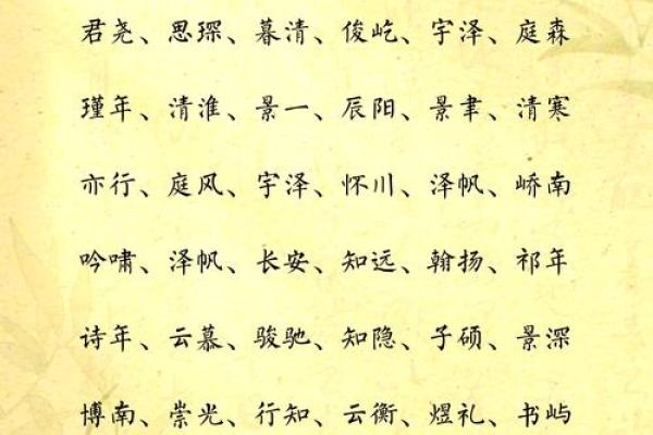 苏姓男孩名字大全-苏姓男孩起名字大全-苏姓名字大全姓名