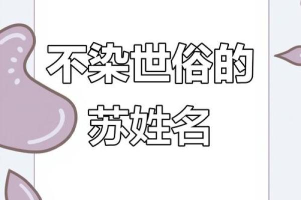 苏姓男孩名字大全-苏姓男孩起名字大全-苏姓名字大全姓名