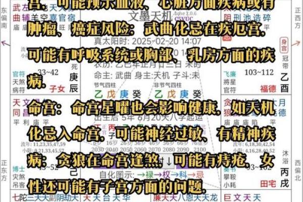 紫薇斗数见吉凶