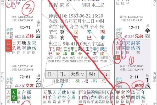 上海学紫薇斗数