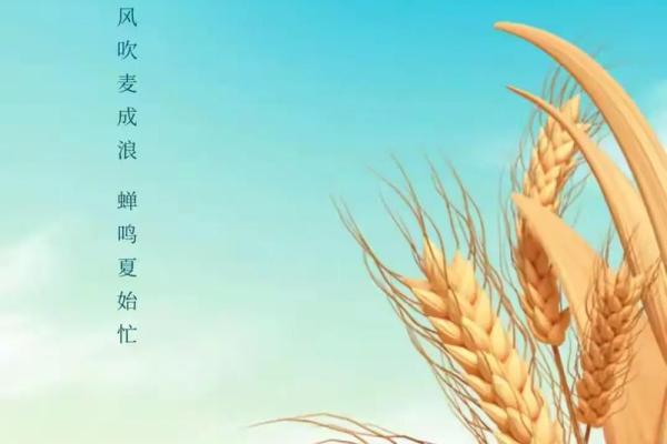 2024年芒种的财神方位在哪？芒种节气的三个物候现象