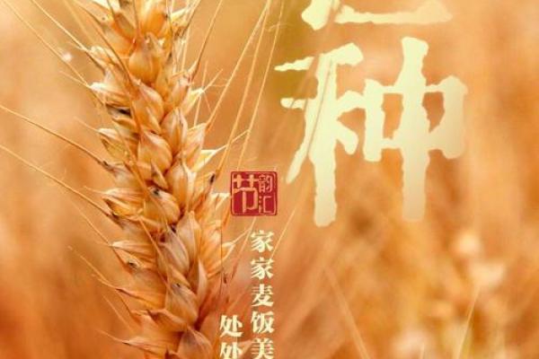 2024年芒种的财神方位在哪？芒种节气的三个物候现象
