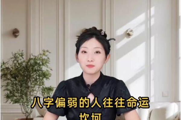 主持人八字