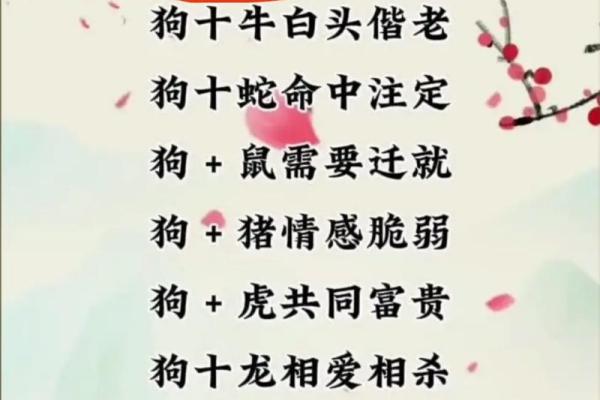 男虎女狗生肖配对姻缘 男虎女狗的属相合不合？