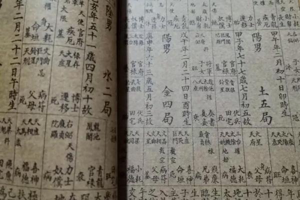紫薇斗数立太极