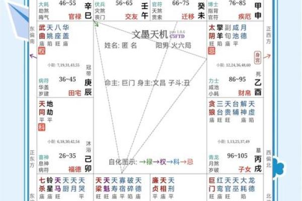 紫薇斗数中的孤星独守