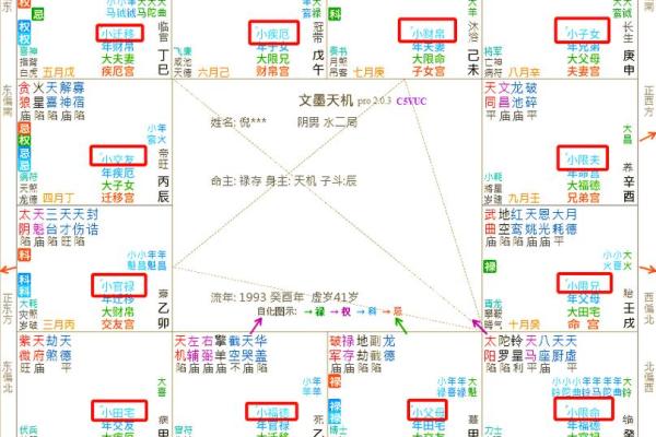 什么是紫薇斗数流年