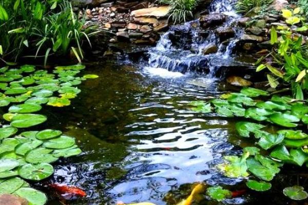 房子地下有池水风水好吗