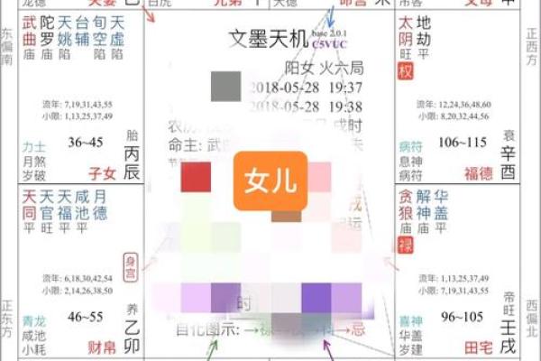 紫薇斗数第三者