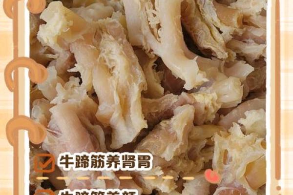 英牛八字筋