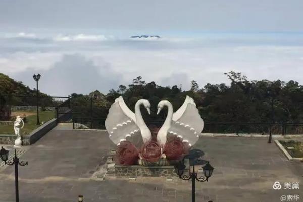越南相信12星座吗
