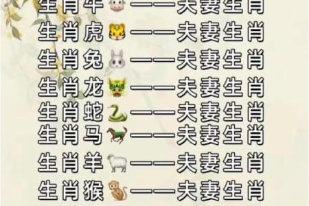 兔猴生肖配对姻缘 兔与猴的婚姻相配吗