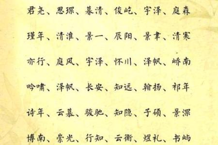 苏姓男孩名字大全-苏姓男孩起名字大全-苏姓名字大全姓名