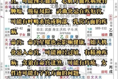 紫薇斗数见吉凶