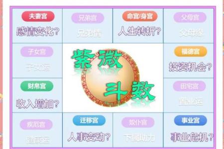 上海学紫薇斗数
