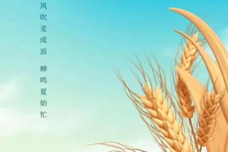 2024年芒种的财神方位在哪？芒种节气的三个物候现象