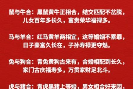 女马男蛇生肖配对姻缘
