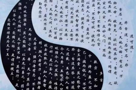 紫薇斗数立太极