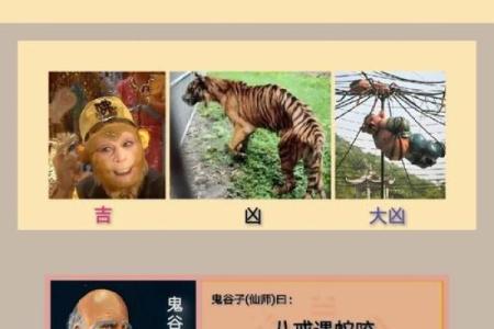 十二生肖吉凶和方位