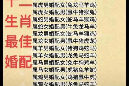 猪跟什么生肖配对最好 生肖猪最佳配对