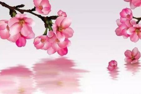 风水，永远的桃花婚恋风水布局