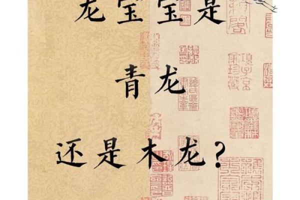 龙的生辰八字