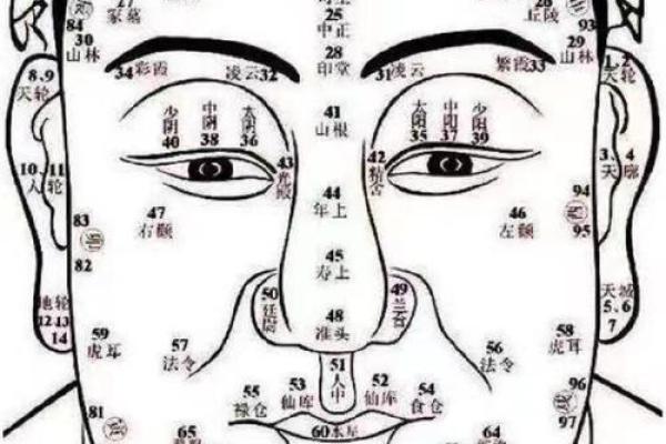 看手相算命大师免费下载