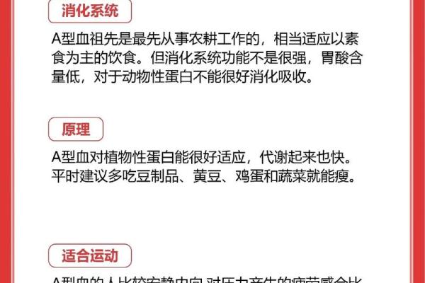 血型人吃对食物倍儿瘦