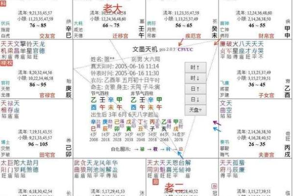 紫薇斗数排盘可靠吗