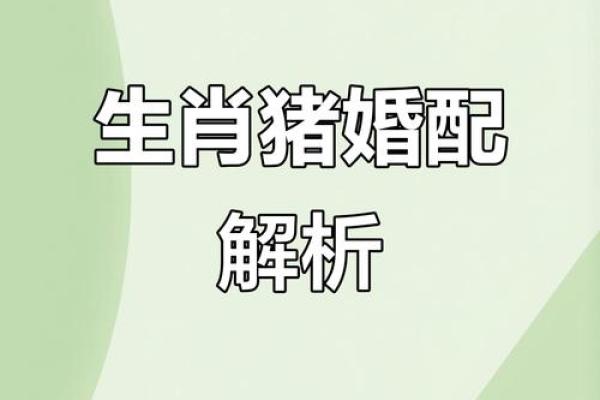 属猪的找什么属相最好 不同月份出生属猪的婚配最佳配对