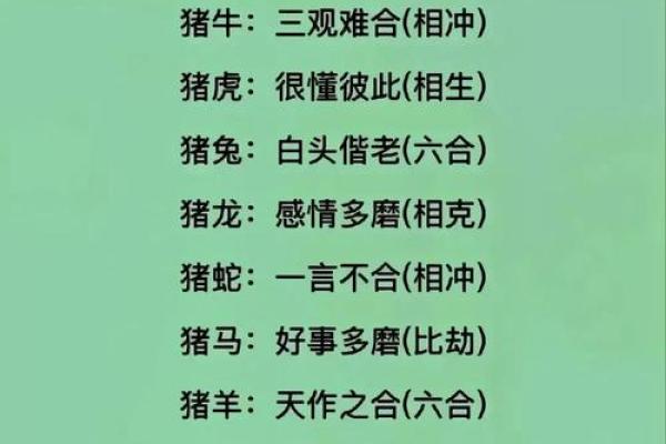 属猪的找什么属相最好 不同月份出生属猪的婚配最佳配对