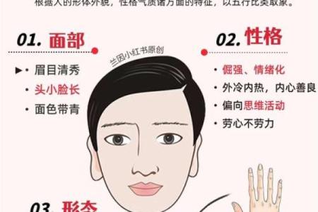 手型算命：木型人的性格与命运