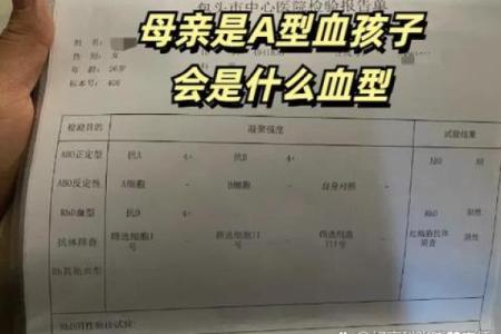 a型血和b型生的孩子是什么血型呢